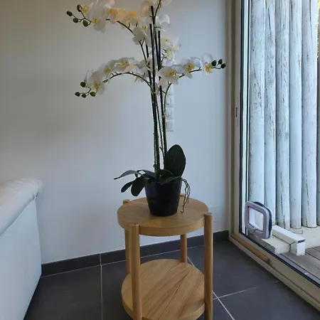 La Palombiere Διαμέρισμα Καν-συρ-Μερ